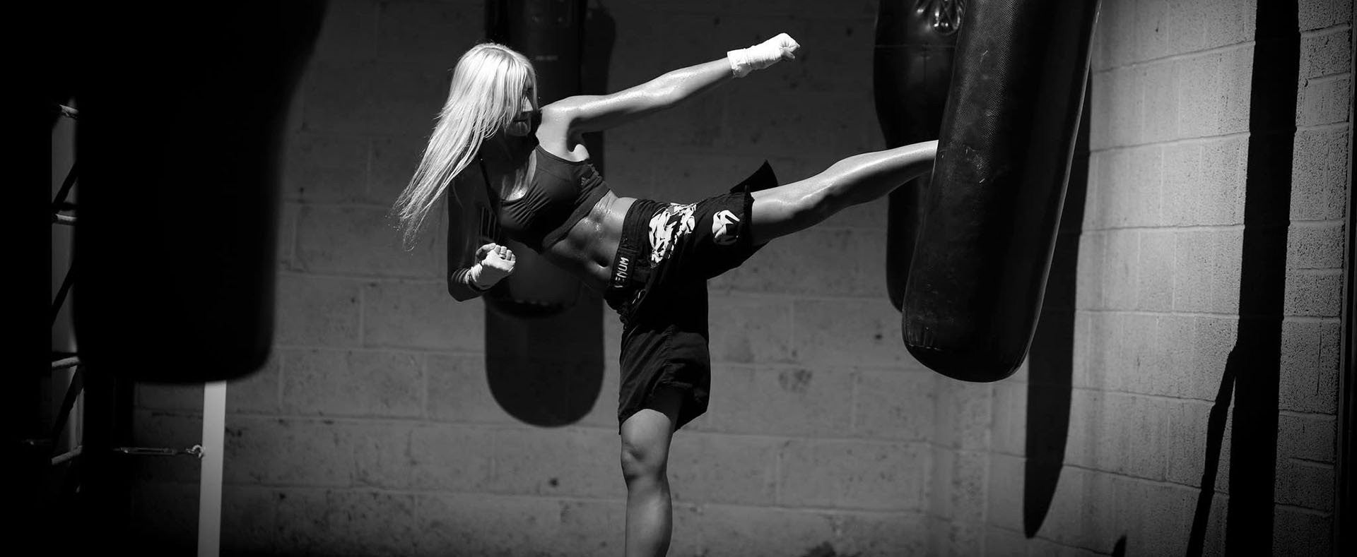 Aenean sollicitudin, lorem quis bibendum auctor