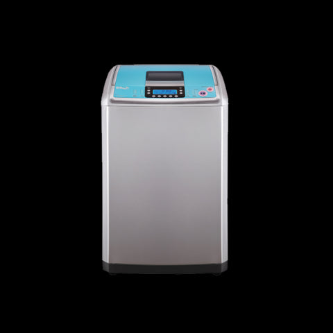 Curabitur porta aliquetnter